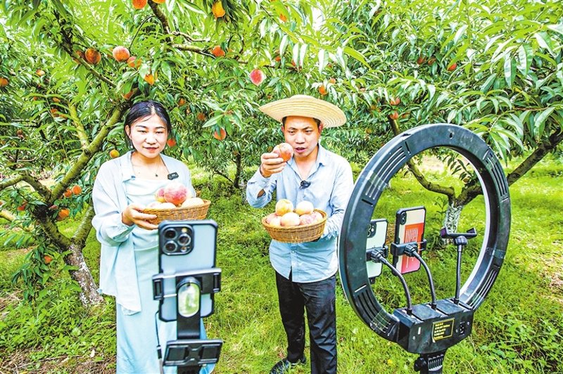 在网上购物时，你是否常常被各种选择和促销信息所困扰？今天就让我们通过一个具体的案例来探讨如何高效地挑选商品并做出明智的购买决策。